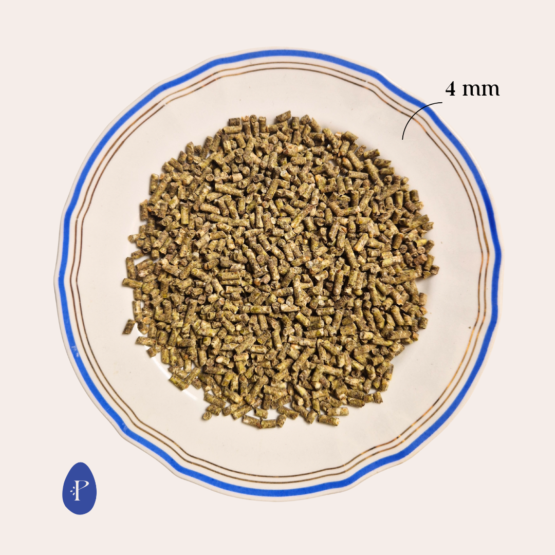 Piira puolitiiviste muniville kanoille