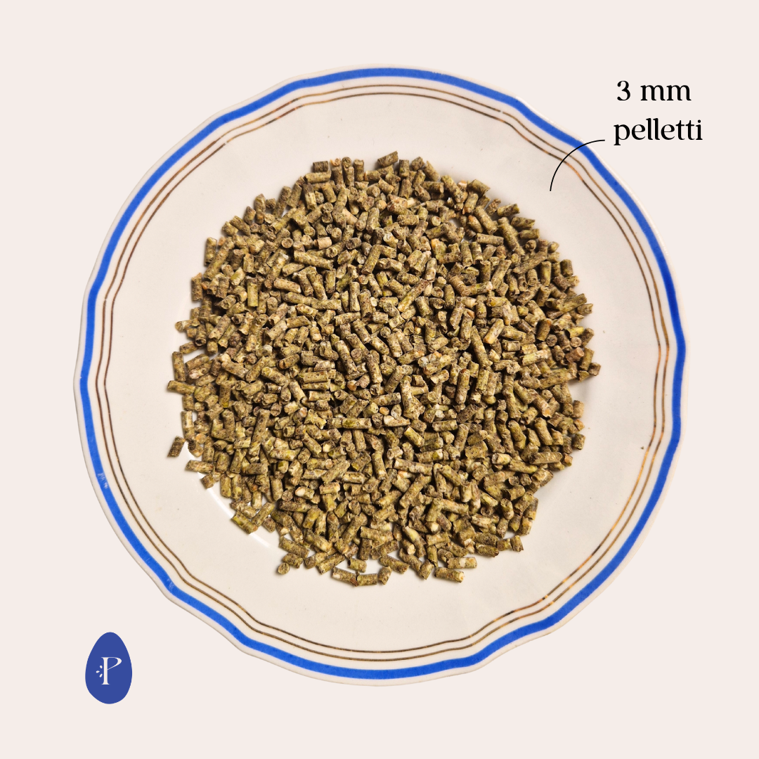 Piira täysrehu muniville kanoille 20 kg